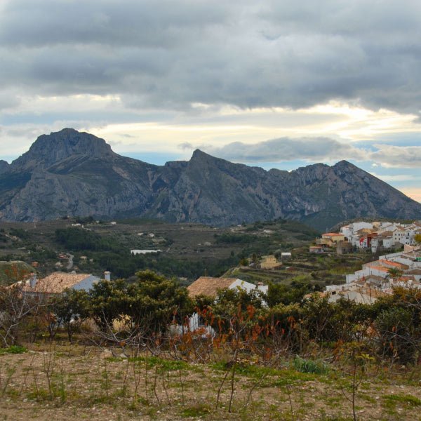 TOUR COLL DE RATES CON GUIA Y PARADA GOURMET - 1 DIA - MYBIKE TOURS